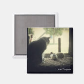 vriendschap magneet (Voorkant / Achterkant)