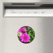 vriendschap magneet (Insitu (Vaatwasser))