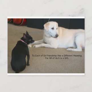 vriendschap met honden briefkaart