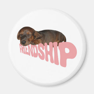 Vriendschap puppy / hond is mannen beste vriend, r magneet