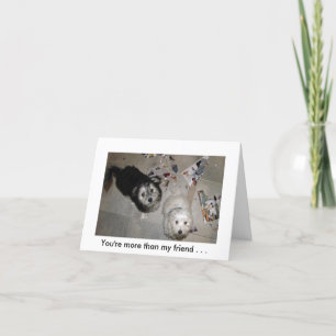 Vriendschap puppy humor kaart