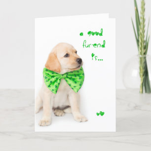 Vriendschap St Patricks Day Puppy Kaart
