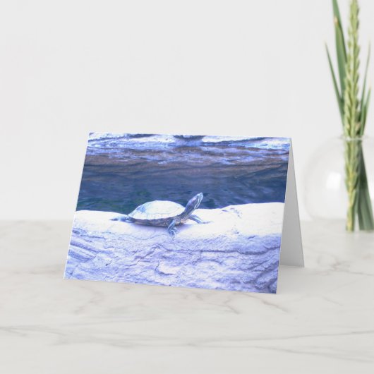 Vriendschappelijke Groeten 1 Kaart (Voorkant)