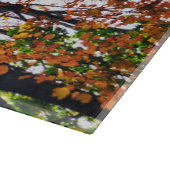 vriendschapsafstandssnijbord 2022 snijplank (Hoek)