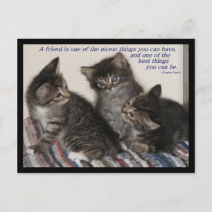 Vriendschapsdier Briefkaart