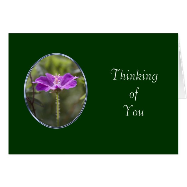 vriendschapskaart (Voorkant Horizontaal)