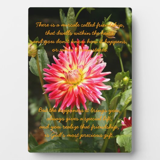 Vriendschapsmirakel Fotoplaat (voorkant)