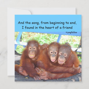 Vriendschapsondervraging