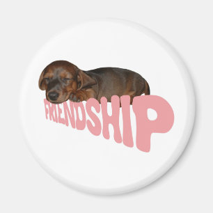 Vriendschapspuppy/hond is de beste vriend van het magneet