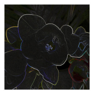 vriesbloemen perfect poster