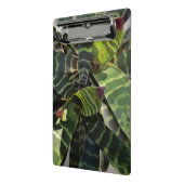 Vriesea Splendens Bromeliad Plant Striped Leaves Mini Klembord (Angled2)