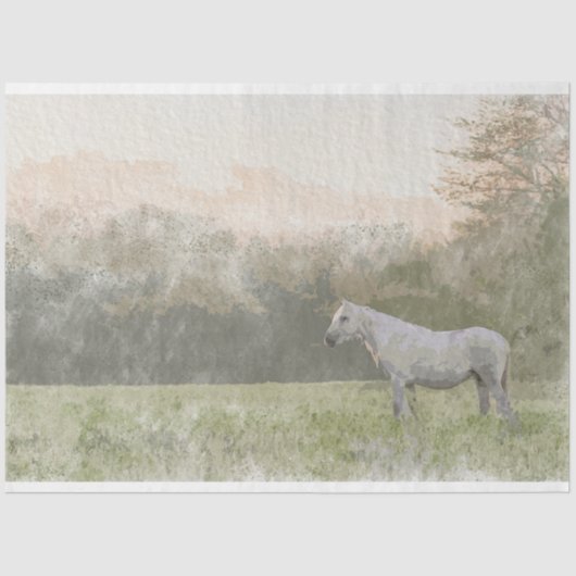 Vrij en vrij 18 lb-papier voor weefselontkoppeling tissuepapier (Voorkant)