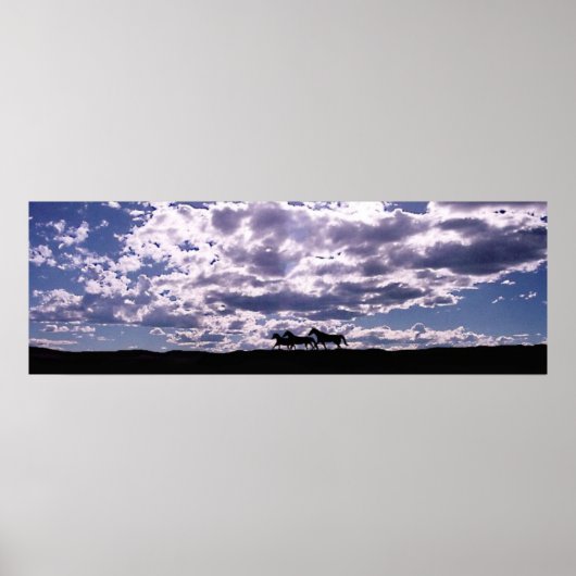 Vrij lopen 2 poster (Voorkant)