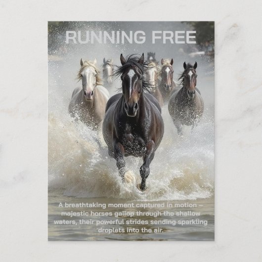 Vrij lopen briefkaart (Voorkant)