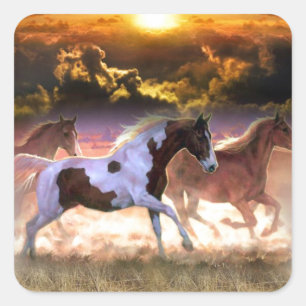 Vrij lopen vierkante sticker