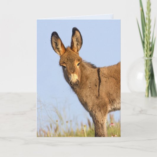 "Vrij om te zwerven" - Wenskaart Kaart (Voorkant)