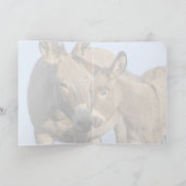 "Vrij om te zwerven" - Wenskaart Kaart (Binnen)