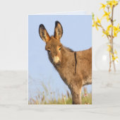 "Vrij om te zwerven" - Wenskaart Kaart (Gele Bloem)