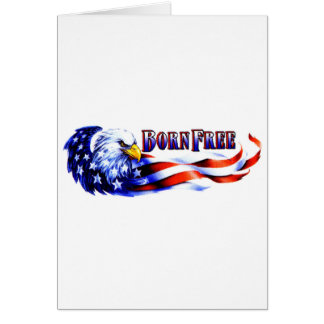 Vrije Bald Eagle en Amerikaanse vlag