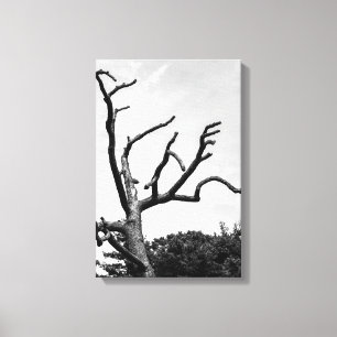 vrije boom canvas afdruk