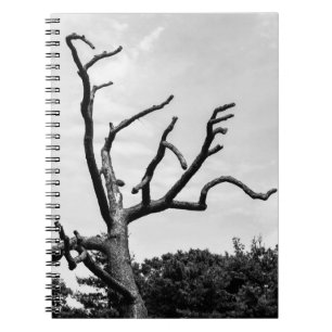 vrije boom notitieboek