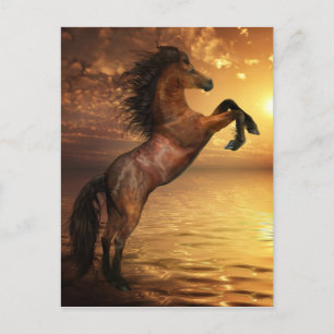 Vrije fok van wilde paarden briefkaart