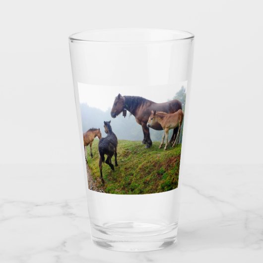Vrije uitloop paarden glas (Voorkant)