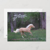 Vrije zorg briefkaart (Voorkant / Achterkant)