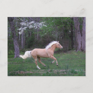 Vrije zorg briefkaart