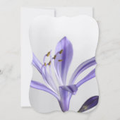 Vrijgezellenfeest Partij Destiny's Destiny Kaart (Voorkant)