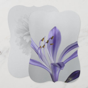 Vrijgezellenfeest Partij Destiny's Destiny Kaart