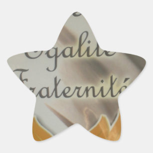 Vrijheid, gelijkheid, broederschap: een bloeiende  ster sticker