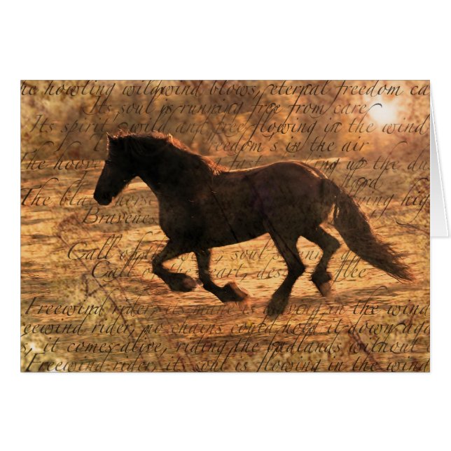 Vrijheid onderweg (Voorkant Horizontaal)