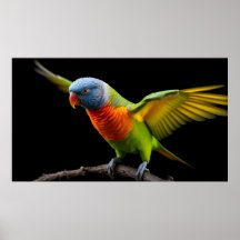 🌈 Vrijheid Vlucht Lorikeet - Dynamische Regenboog