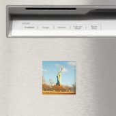 vrijheidsbeeld magneet (Insitu (Vaatwasser))