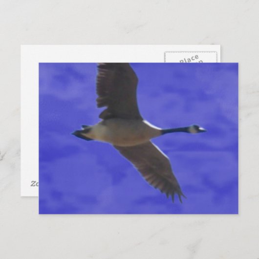 Vrijheidsberoering Briefkaart (Voorkant / Achterkant)