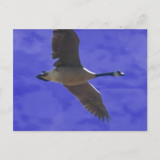 Vrijheidsberoering Briefkaart (Voorkant)