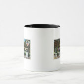 Vrijstelling van de beschermingszone mok (Midden)