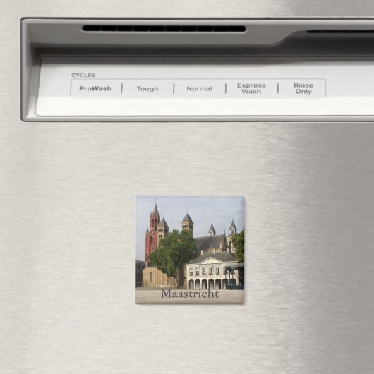 Vrijthof, Maastricht Magneet (Insitu (Vaatwasser))