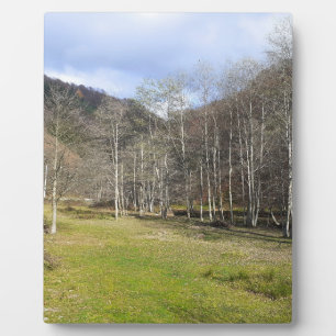 Vroeg Herfst bij de Rivier - Wilde Natuur Roemenië Fotoplaat