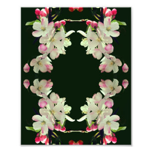Vroeg voorjaar Apple Blossoms Abstracte kunst 8x10 Foto Afdruk