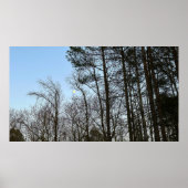 Vroege avondmaan, poster (Voorkant)