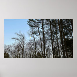 Vroege avondmaan, poster