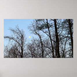 Vroege avondmaan, poster