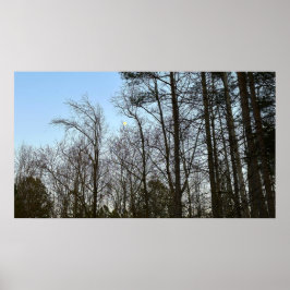 Vroege avondmaan, poster