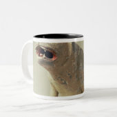 Vroege Chinese potteraathond, tombe Tweekleurige Koffiemok (Voorkant links)