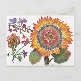 Vroege dag Zonnebloemkaartje Briefkaart