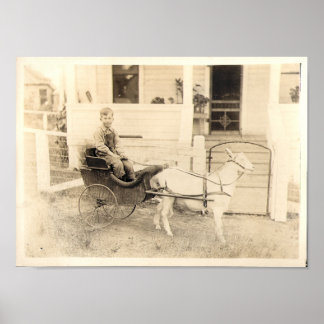 Vroege foto's van kinderen, punt 04 poster