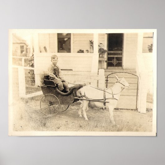 Vroege foto's van kinderen, punt 04 poster (Voorkant)