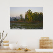 Vroege herfst zonlicht poster (Keuken)